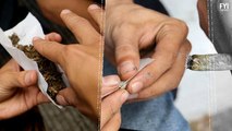 Pesquisa revela efeitos benéficos da maconha para o apetite sexual
