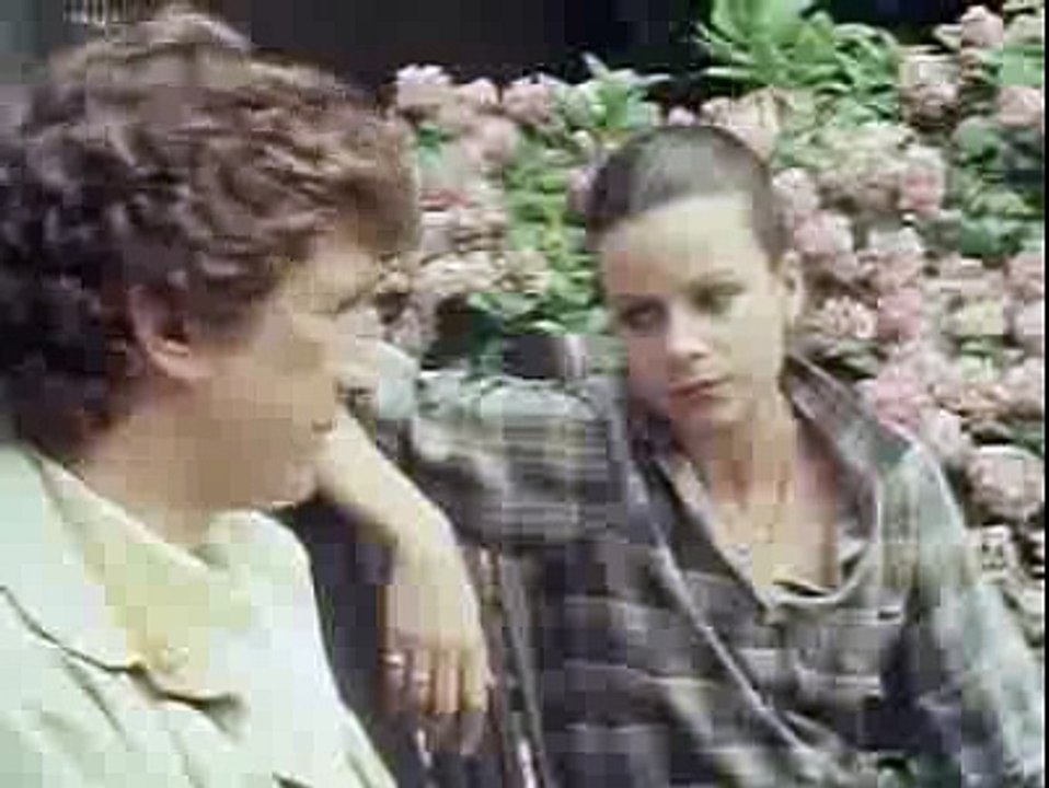 The Professionals S04 E08