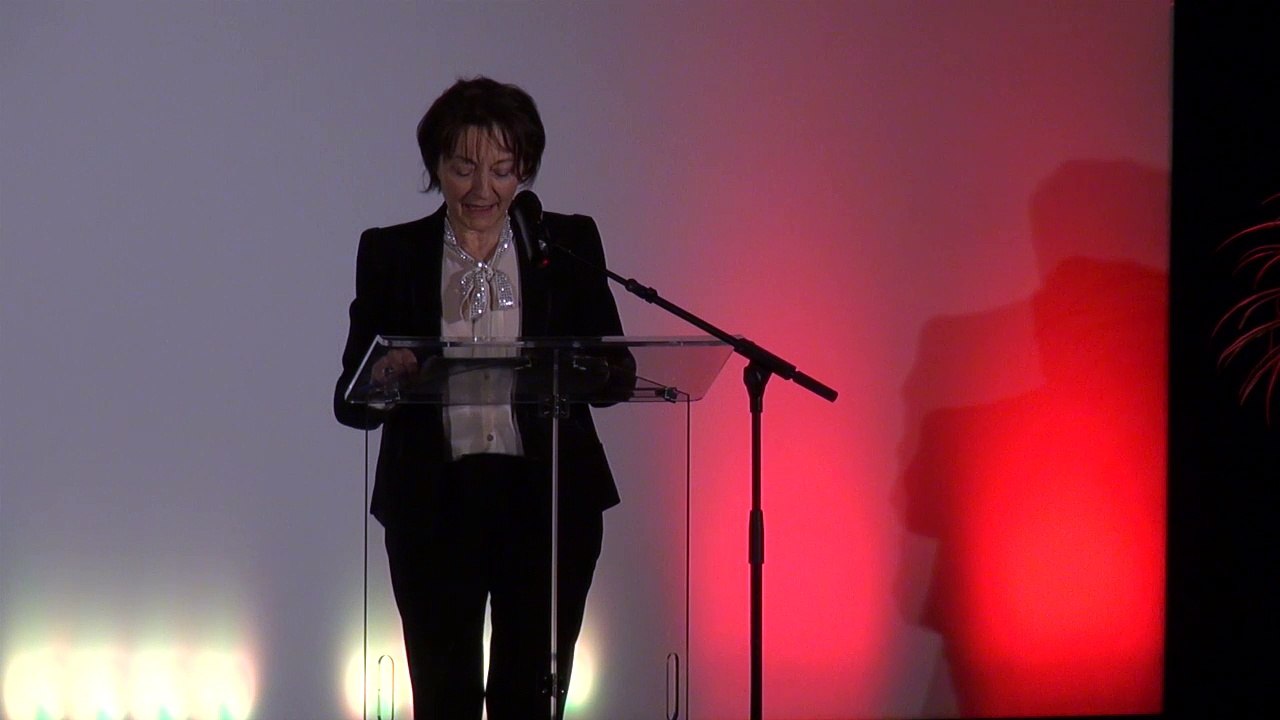 Festival du cinéma de Brive 2017 - Cérémonie d'ouverture