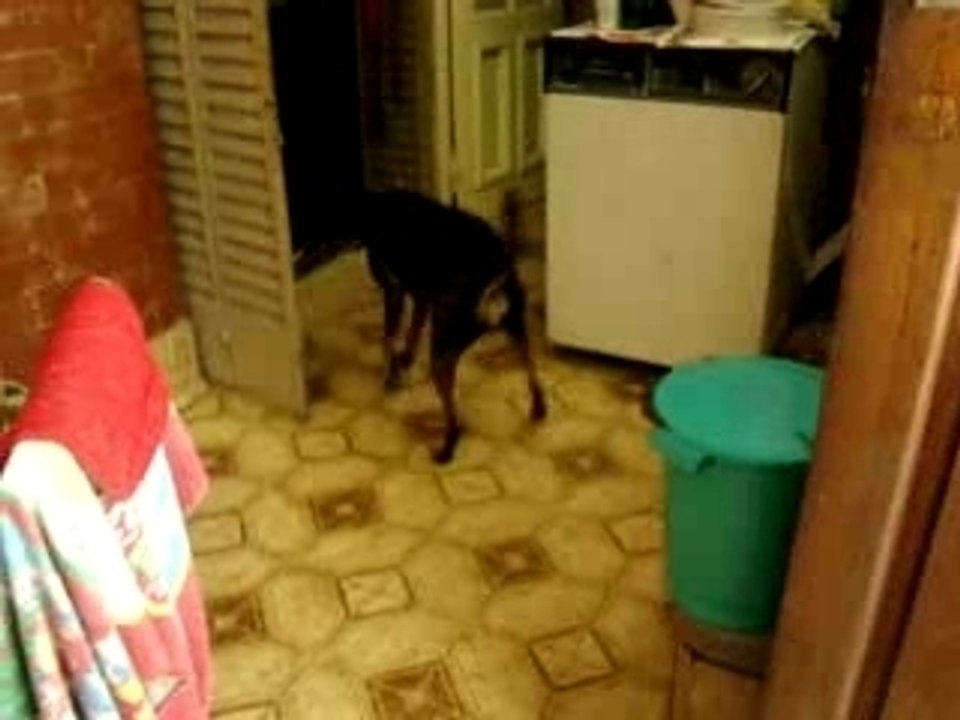 Jugando  jouant 2