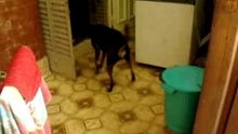 Jugando  jouant 2