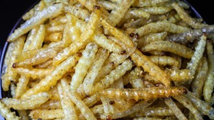 Você estaria disposto a comer larvas?