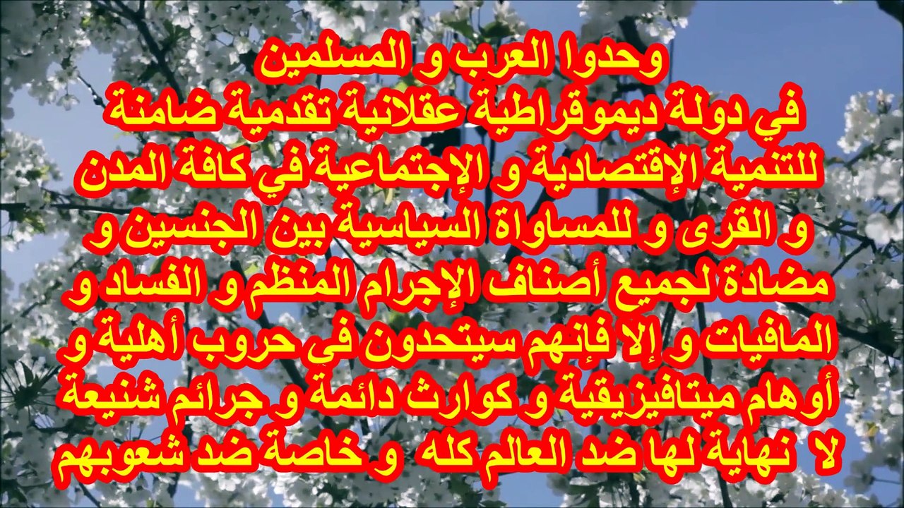 وحدة العرب و المسلمين