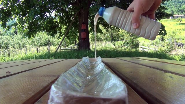 150 seconds of kitten cuteness