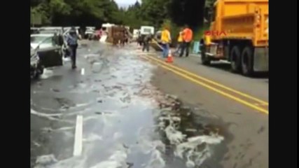 Yılan balığı yüklü kamyon otobanda devrildi..!