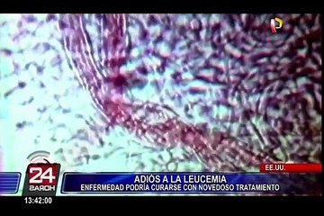 La leucemia podría curarse con novedoso tratamiento