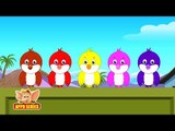 Five Colorful Birds - Nursery Rhyme with Karaoke