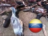 El video que Nicolas Maduro no quiere que tu veas