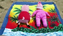 Peppa Pig va a la Piscina del Parque Acuatico de Playmobil - Juguetes de Peppa Pig