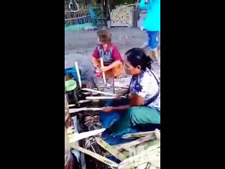 It's cool, homemade Sugarcane milling tool