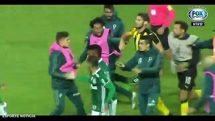 Mega Porradão no Final de Jogo entre Palmeiras e Peñarol