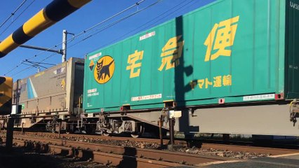 貨物&電車撮影記録《12/01～12/08》遅延貨物×3、5090レムド付き×2、5052レEF66-27号機、三島工臨など