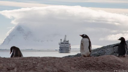 Turismo na Antártida zela pela preservação do território