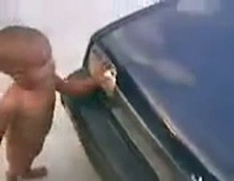 Little Champ