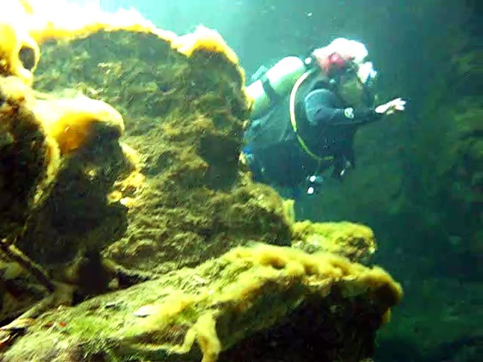 Tulum, Tauchen Cenotte