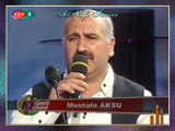 Mustafa AKSU - Bülbül Güle Mi Geldin