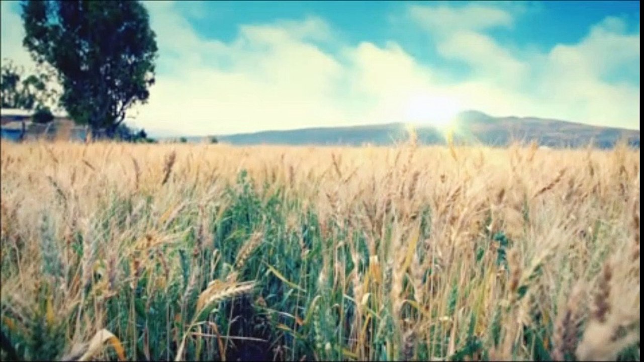 LMQ Cap 94