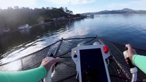 Así funciona Kitty Hawk Flyer el asombroso aerodeslizador acuático de un creador de Google