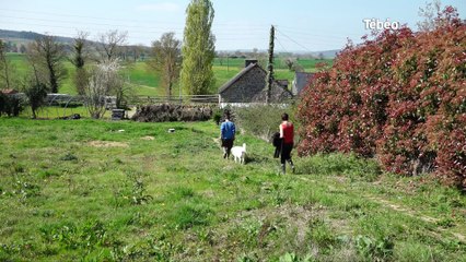 Quéménès (29). Les Robinsons vont mettre pied à terre