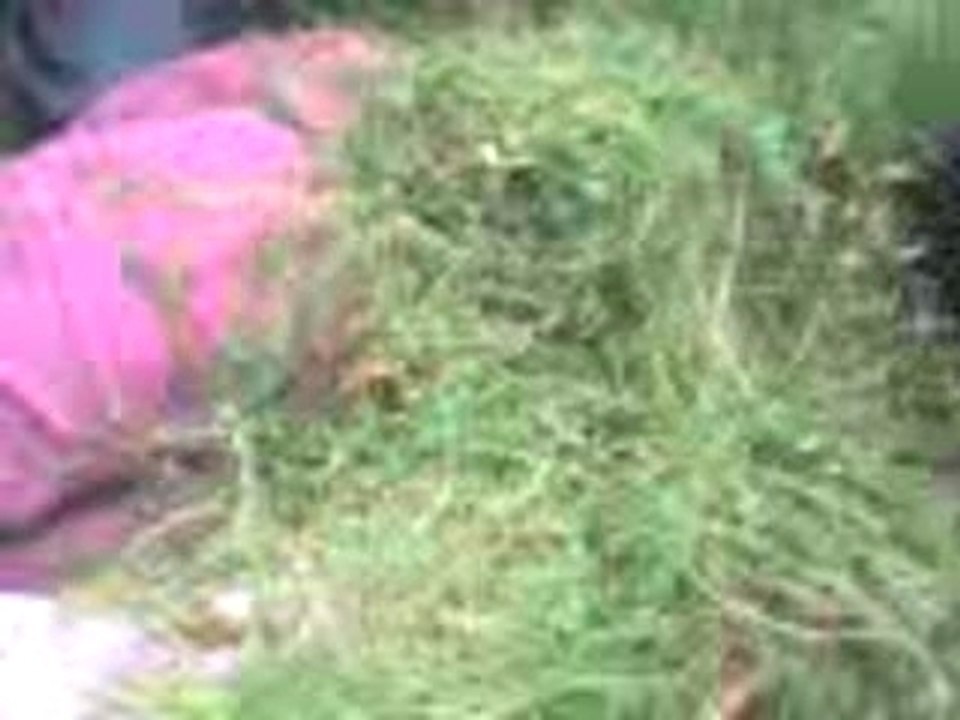 Vidéo 0001