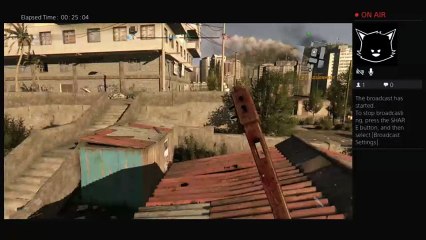 Wut in tarnation (24)