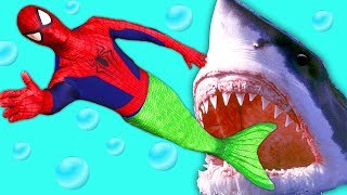Spiderman Mermaid vs Shark! w/ Frozen Elsa & Anna, Superman, Maleficent, Pink Spidergirl & Candy :)