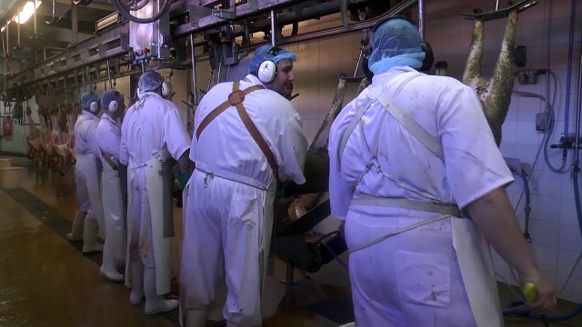 Alpes de Haute-Provence : à la découverte de la fabrication des Pieds et Paquets dans la conserverie Taste of Provence