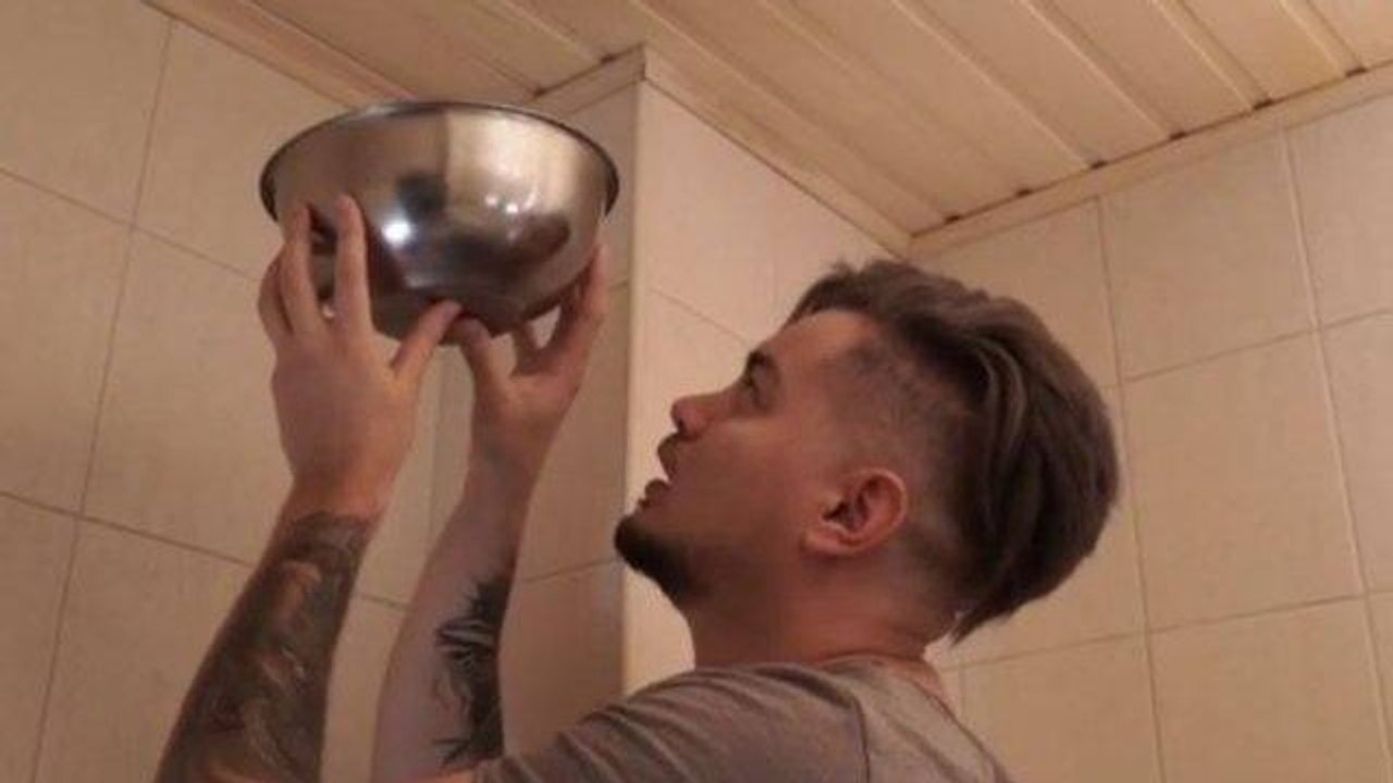 Attraper une grosse araignée au plafond