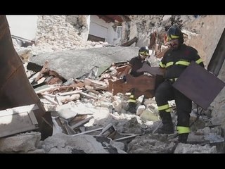 Video herunterladen: Castelluccio di Norcia (PG) - Terremoto, recupero beni in attività commerciali (26.04.17)