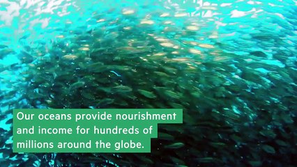 How HPE Living Progress Challenge Winner Protects Our | HPE