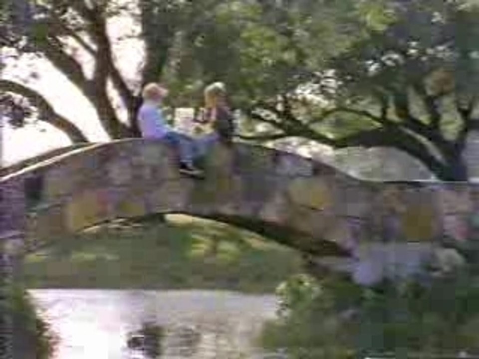 Checkers / Boomsday '93 WFLA bumper