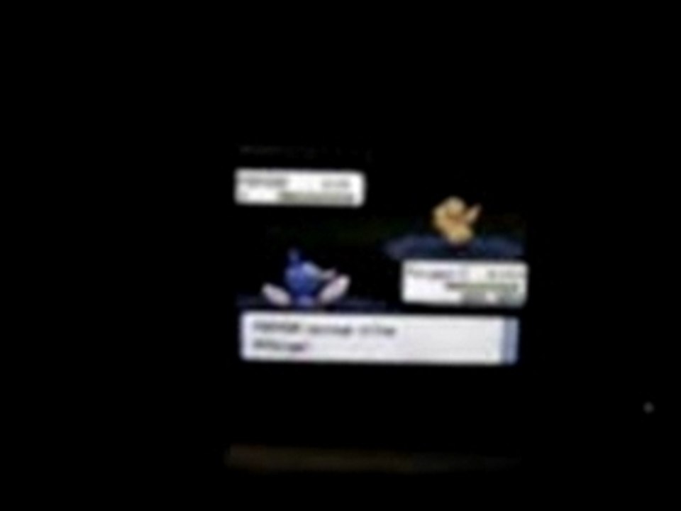 Porygon PR