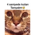 4 Saniyede Kızları Anlatan Kedi