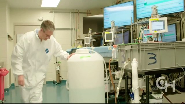 Groundbreaking artificial womb could save premature babies