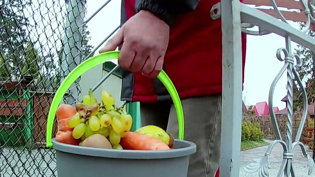 Zweites Leben für geschundene Bären