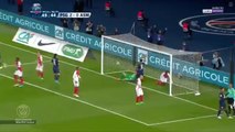 PSG 5-0 AS Monaco - All Goals & Full Highlights - 26.04.2017 HD