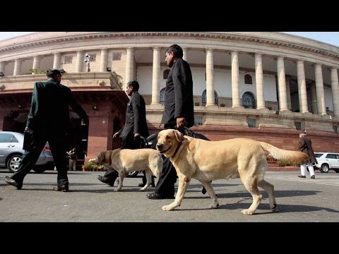 Army Dogs to march down Rajpath for Republic Day Parade