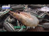 맛과 영양의 대하 열전! [광화문의 아침] 343회 20161025