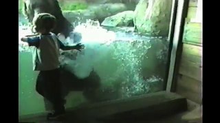 Kids At The Zoo Compilation