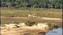 [MP4 480p] 5 Most Amazing Crocodile Attacks Compilation Including Buffalo, Warthog, Elephant etc