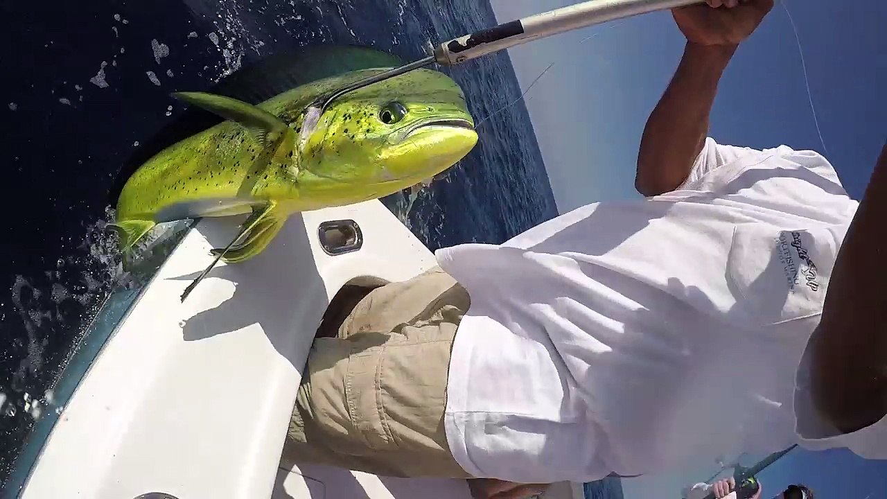 2017 - Marlin U Testimonial - Brian Crawford