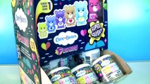 CARE BEARS FASHEMS FULL CASE NEW Collection of 35 Mashems Squishy Surprise Toys for Kids by Funtoys-7cX