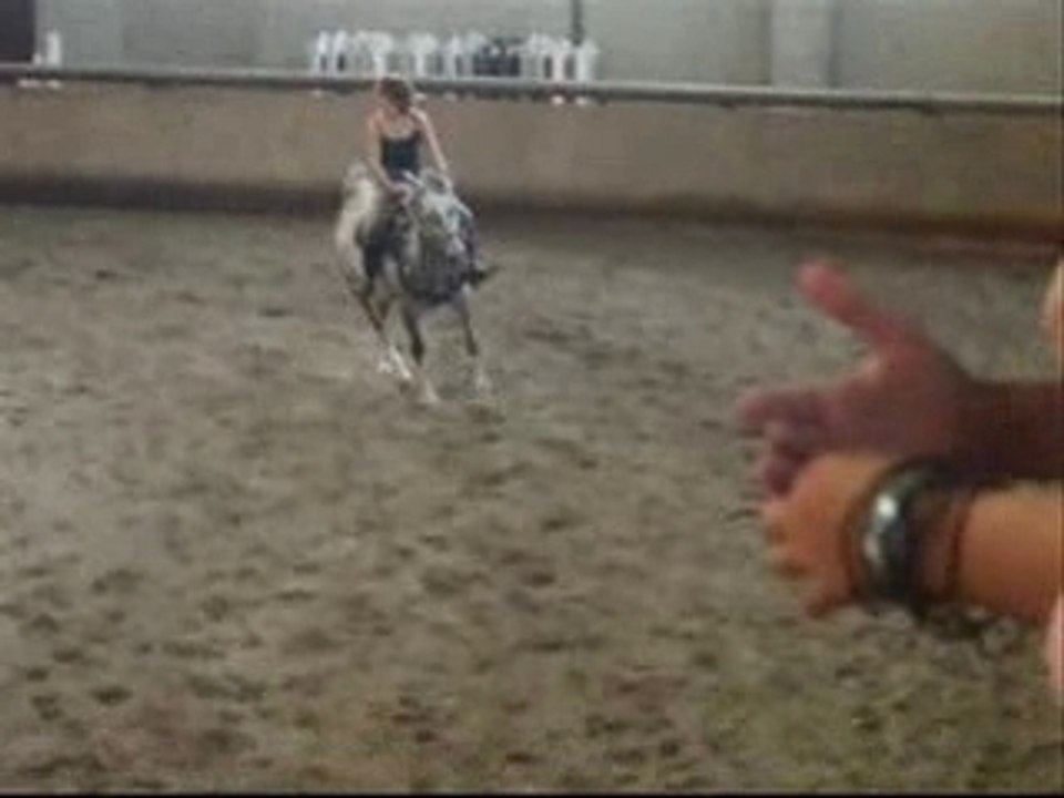 Fête du cheval