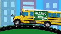 Learning Sports Vehicles for Kids - Monster Trucks, Disney Cars, Tomica トミカ Race Cars and Trucks-nluMVsNcg