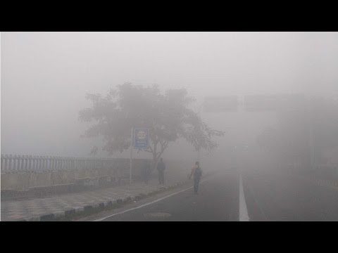 Fog engulfs Delhi NCR; Traffic disrupted, flights and trains delayed , Watch Video