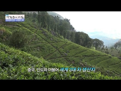 세계 홍차 브랜드 립톤이 탄생한 곳! [광화문의 아침] 341회 20161021