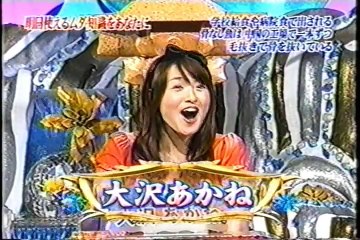 魚のフライ＆闘犬の反則技・トリビア