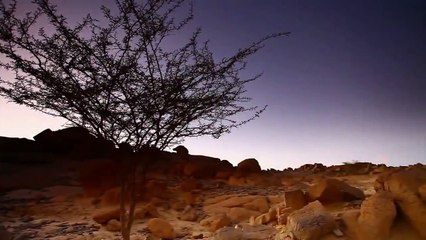 'Read! - In the Name of Your Lord' ┇Poetry┇ by Br. Boonaa Mohammed ┇HD┇TDR┇_HD