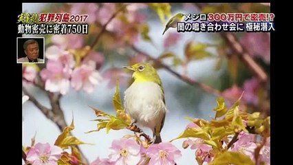 水トク！ 2017年4月19日　170419 Part1