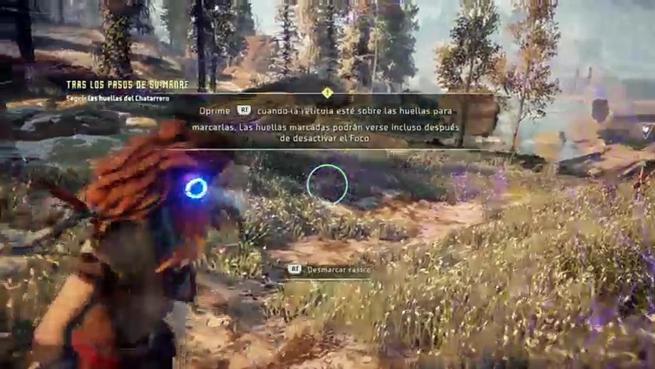 Horizon zero down (9)